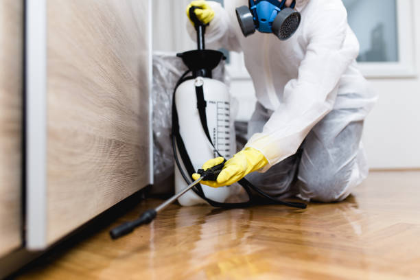 Best Best Pest Control Companies  in Lone Oak, TN