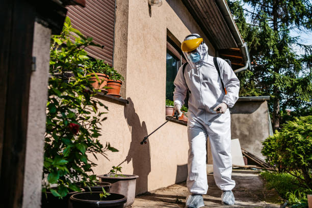 Best Mosquito Control Services  in Lone Oak, TN