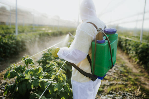 Best Ant Control Services  in Lone Oak, TN